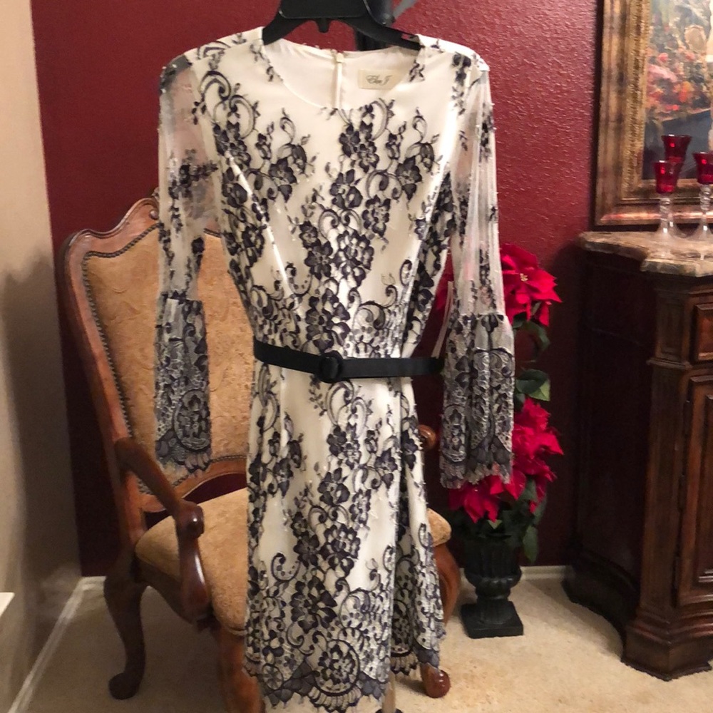 Elegant Eliza J Dress